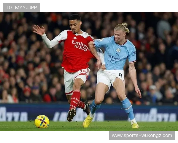 威廉·萨利巴伤缺对争冠走势的影响分析