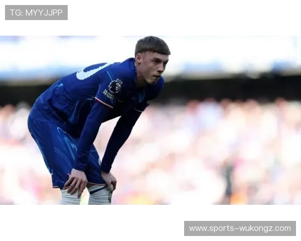 帕尔默终结依赖与进攻参与度分析：是否仅为点球型球星？