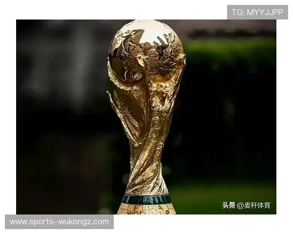 2026世界杯如果出现乌龙判罚能改判吗